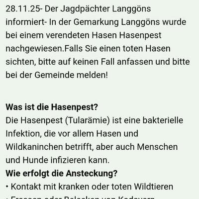Giftköder-Hasenpest in der Gemarkung Langgönd-Bild