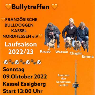 Hundetreffen-🧡Bullytreffen 🧡Französische Bulldoggen Kassel Nordhessen e.V🧡-Bild