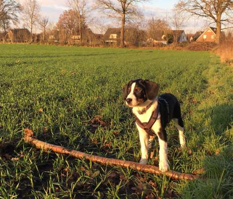 Zeigt mir eure Lieblingsfotos ♡♡-Beitrag-Bild