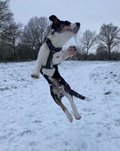 Challenge Nr. 15
Spiel im Schnee-Beitrag-Bild