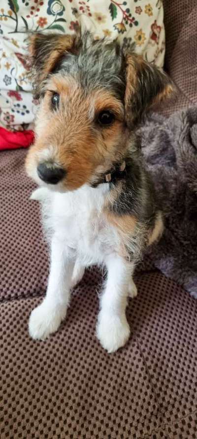 Lieblingsbild :D-Beitrag-Bild