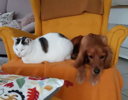 Fotochallenge Nr. 62 Romantische Momente-Beitrag-Bild