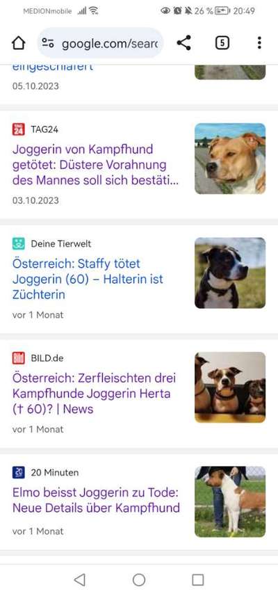 Hundeangriff in Griechenland - wie verhindern, vorbeugen?-Beitrag-Bild
