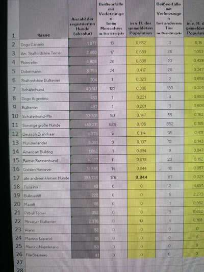 Amstaff Vorurteile - Halter machen Hunde?-Beitrag-Bild