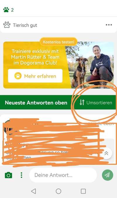 Hundeangriff in Griechenland - wie verhindern, vorbeugen?-Beitrag-Bild