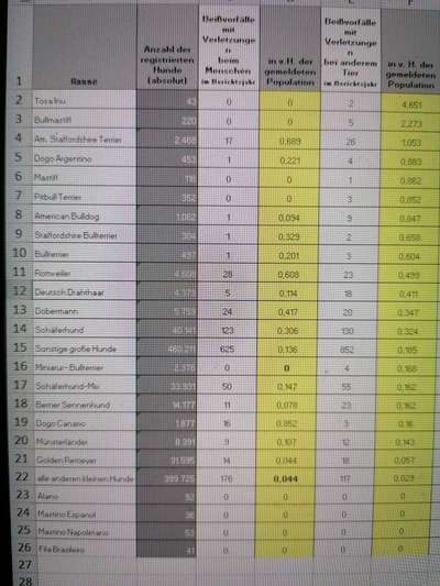 Amstaff Vorurteile - Halter machen Hunde?-Beitrag-Bild