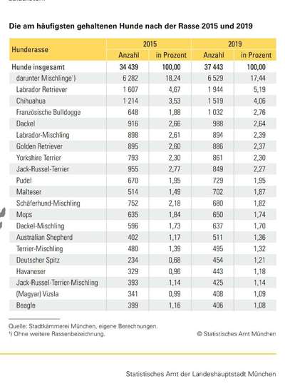 Universal Allzweck Sündenbock Schäferhund-Beitrag-Bild