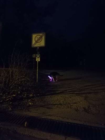 Leuchtie bei Dunkelheit bitte !-Beitrag-Bild