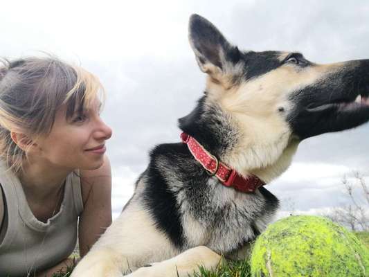 Seht ihr eurem Hund ähnlich ?-Beitrag-Bild