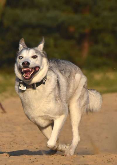 Handy-foto Challange nr. 11-Beitrag-Bild