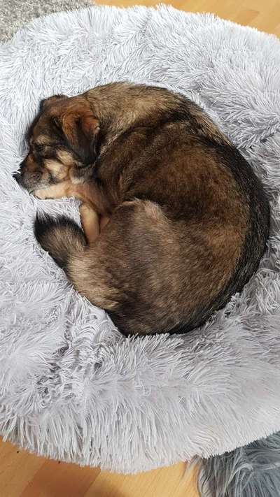 Erfahrung mit Wolkenbett-Beitrag-Bild