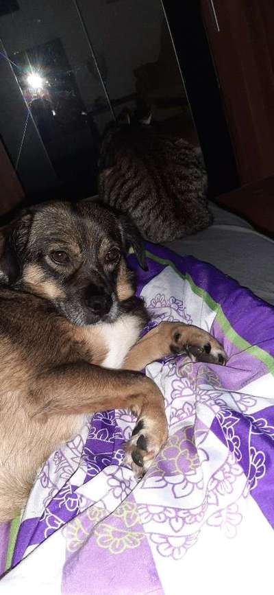 Gemeinsames Kuscheln im Bett!-Beitrag-Bild