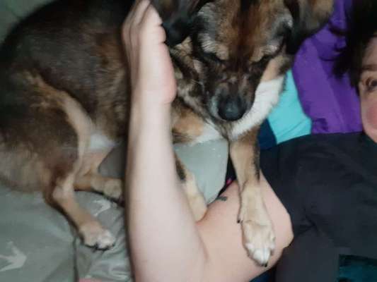 Gemeinsames Kuscheln im Bett!-Beitrag-Bild