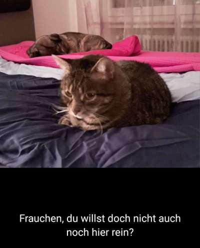 Gemeinsames Kuscheln im Bett!-Beitrag-Bild