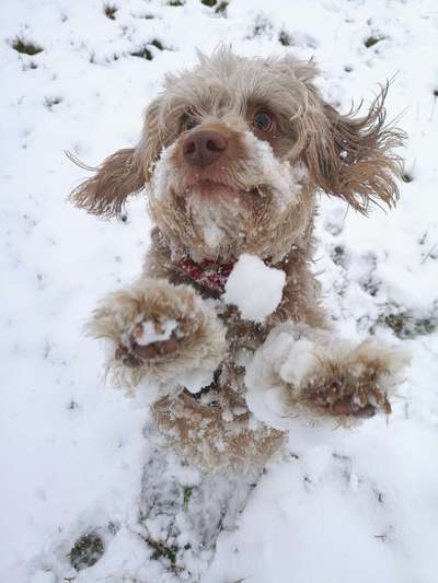 Handy-Foto-Challange Nr.9-Beitrag-Bild