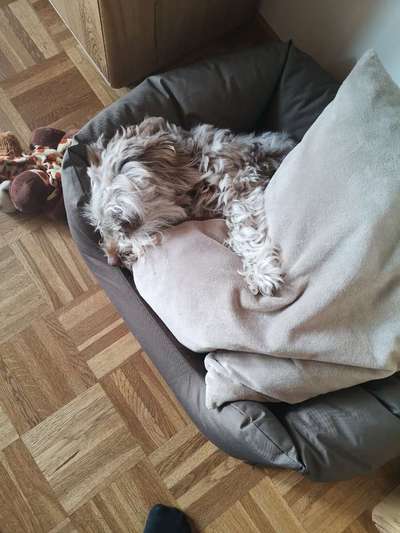 4. Lustiger Schlafplatz-Beitrag-Bild