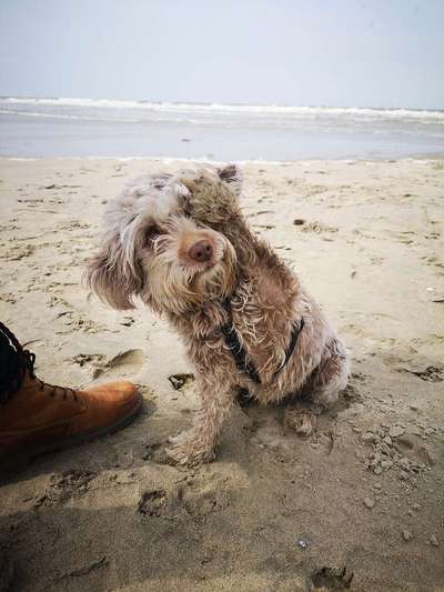 Fotochallenge Nr.100 Urlaubsimpressionen-Beitrag-Bild