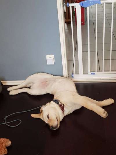 CHALLENGE NR. 34 - Liege-/Schlafpositionen-Beitrag-Bild