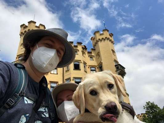 Fotochallenge Nr. 59 - Mein Hund zeigt die Zunge-Beitrag-Bild