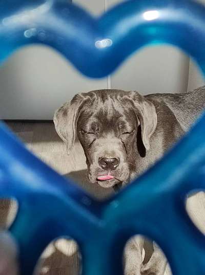 "Die eingefangene Magie des Augenblicks"-Beitrag-Bild