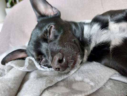 Foto Challenge Nr. 134-Beitrag-Bild