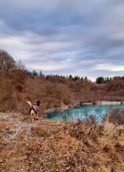 156. Fotochallenge *** DEIN HUND UND DIE WUNDERSCHÖNEN WOLKEN ***-Beitrag-Bild
