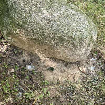 Giftköder-Giftköder-Bild