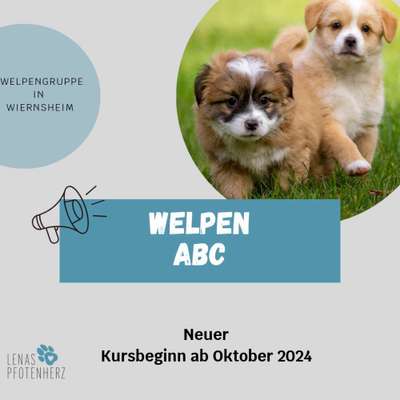 Hundetreffen-Welpengruppe in Wiernsheim-Bild