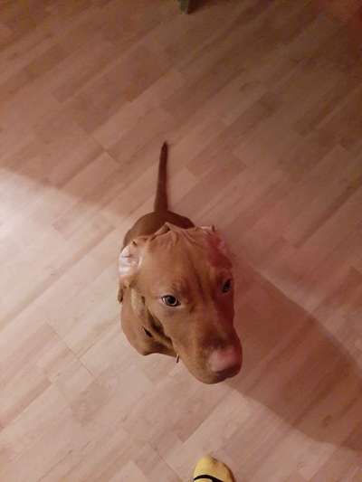 Ratespaß geht weiter-Beitrag-Bild