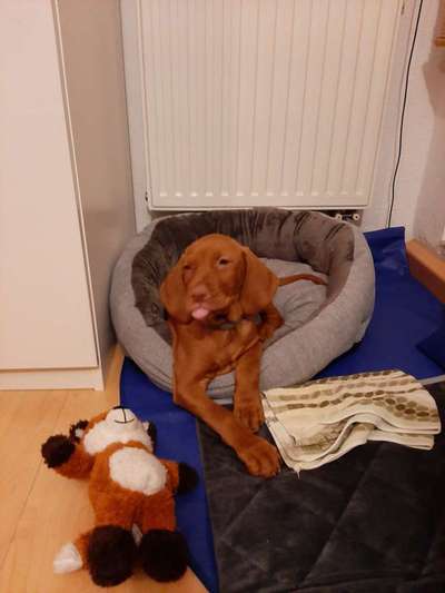 Fotochallange Nummer 5-Beitrag-Bild