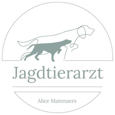 Tierärzte-Tierärztin Alice Matenaers-Bild