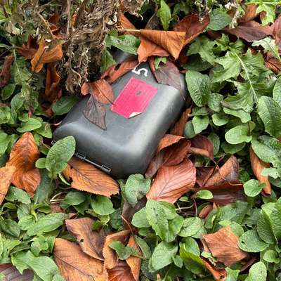 Giftköder-Rattenköder in Boxen-Bild