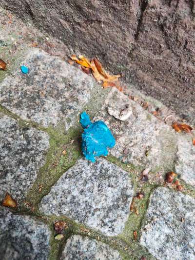 Giftköder-Blaue Masse, vom Regen verflüssigt!-Bild