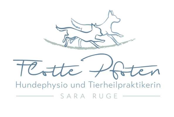 Medizinische Dienstleistungen-Flotte Pfoten-Bild