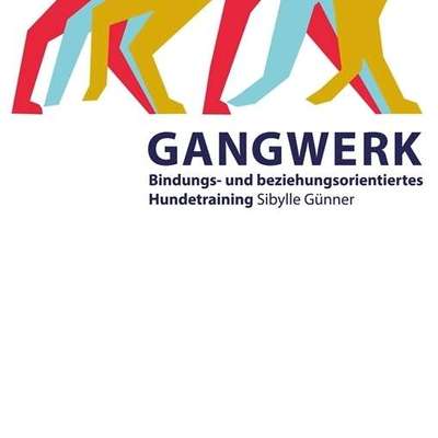 Hundeschulen-GANGWERK Hundetraining-Bild