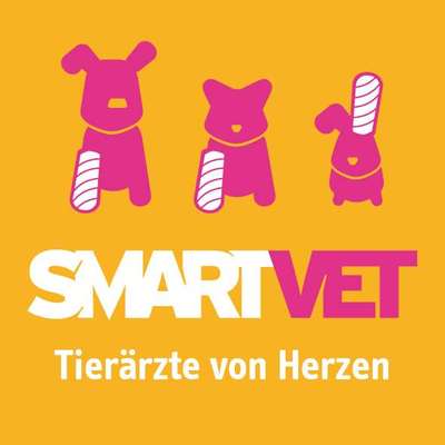 Tierärzte-SmartVet Hamburg-Stellingen-Bild