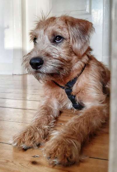 Lieblingsbild-Beitrag-Bild