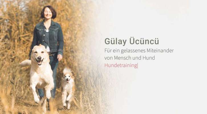 Hundeschulen-Gülay Ücüncü | Hundetraining & Verhaltensberatung-Bild