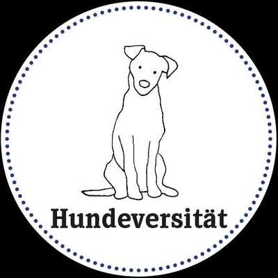 Hundeschule Bild