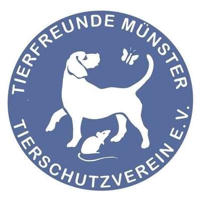 Tierheime-Tierfreunde Münster-Bild