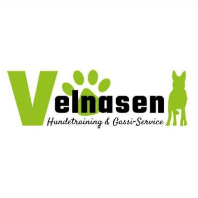 Hundeschulen-Velnasen Hundetraining-Bild