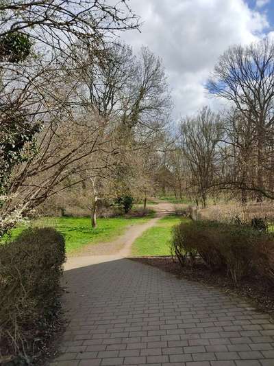 Hundeauslaufgebiet-Schlosspark Großzschocher-Bild