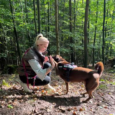 Hundetreffen-Spaziergang-Profilbild