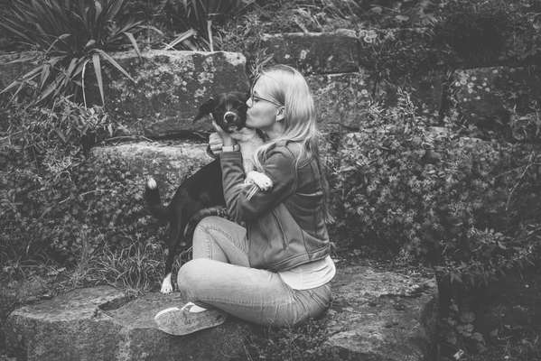 Foto's und Hundemodels-Beitrag-Bild