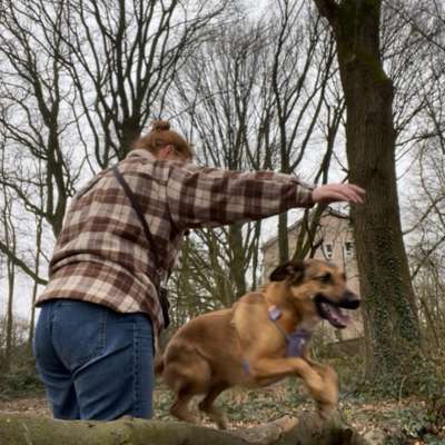 Hundetreffen-GassipartnerInnen gesucht-Profilbild