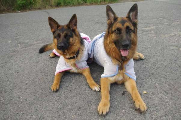 Pullis, Jacken, Hütte und alles sonstiges-Beitrag-Bild