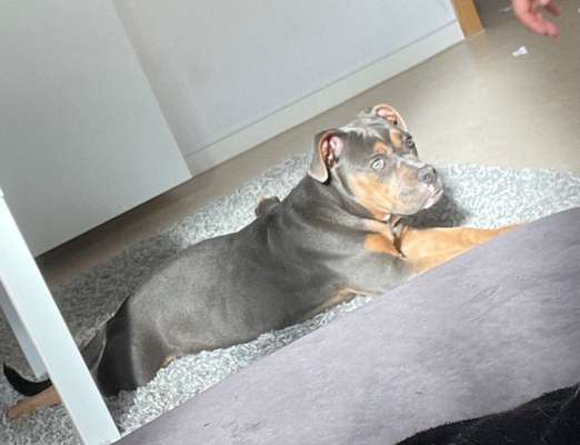 OEB Besitzer gesucht 😊-Beitrag-Bild