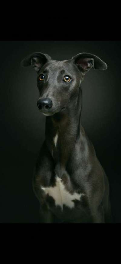 Fotochallange Nr. 57     PORTRÄT.   Beendet!!!!!!!!-Beitrag-Bild