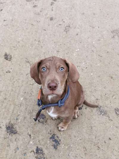 Lieblingsbild-Beitrag-Bild