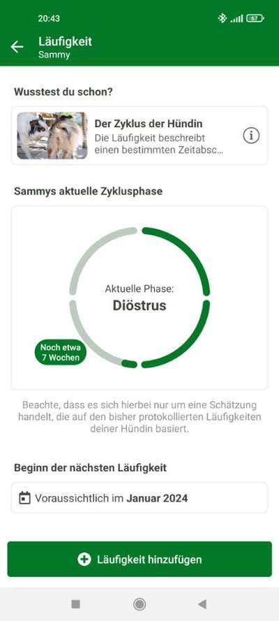 Samojede-Beitrag-Bild